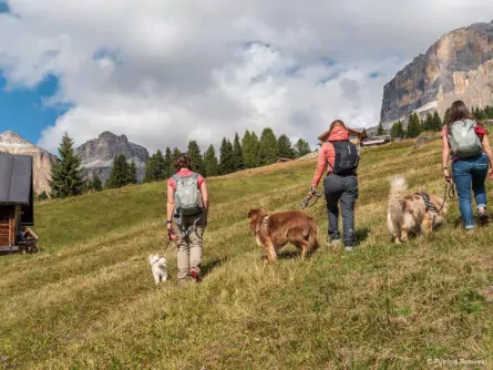 huttentocht val di fassa hond italie trente canazei patricia ramirez 1