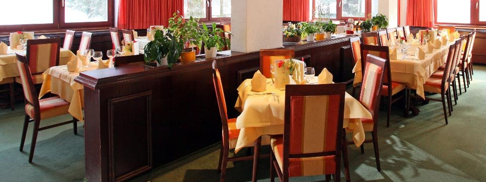 parkthotel kirchberg kirchberg (102)
