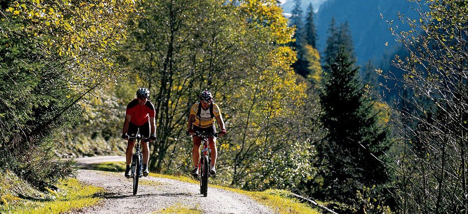 mountainbiken tvb wald konigsleiten