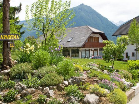 apartma zorc bovec (3)