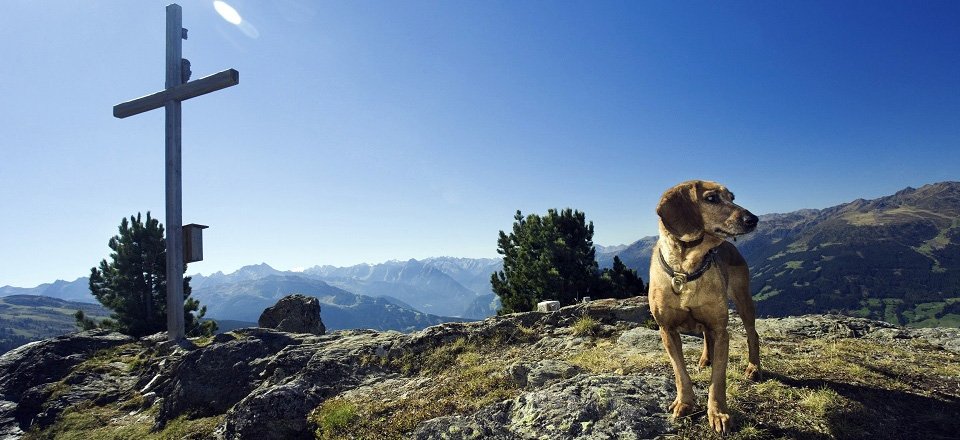 fugen tvb erste ferienregion im zillertal (102)