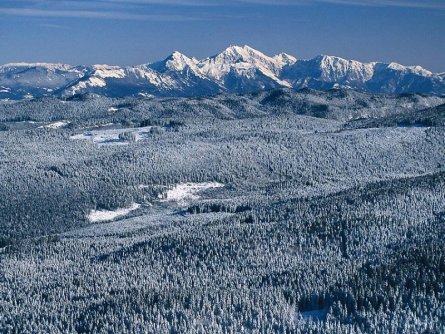 langlaufen crosscountry ski tour pokljuka plateau slovenie