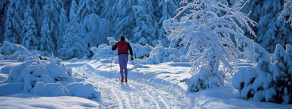 langlaufen bodensee vorarlberg oostenrijk