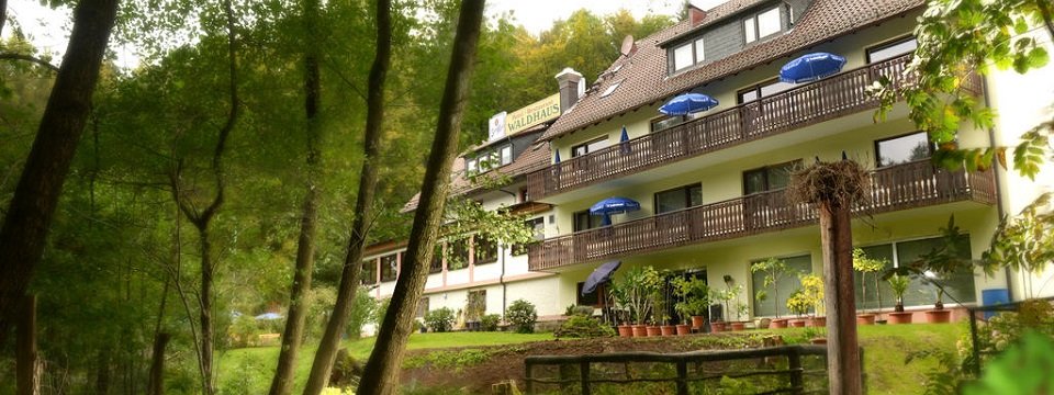 hotel waldhaus mespelbrunn (104)