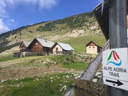 alpe adria trail feiztritzer alm notsch valbruna