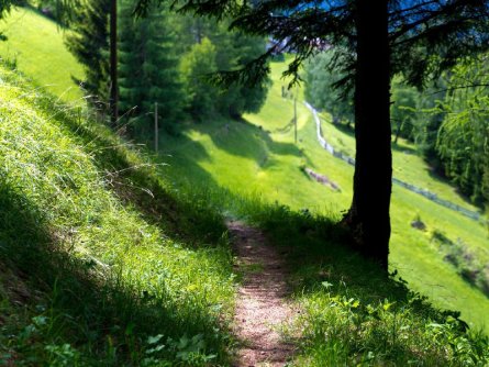 hohe tauern trail alpe adria trail vakantie oostenrijk oostenrijkse alpen e2 (5)