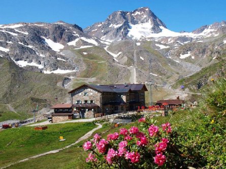 huttentocht stubaier höhenweg vakantie oostenrijk oostenrijkse alpen e4 dresdner hütte (1)