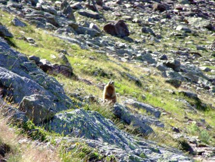 huttentocht stelvio nationaalpark dolomieten vakantie italiaanse alpen italie wandelen (9)