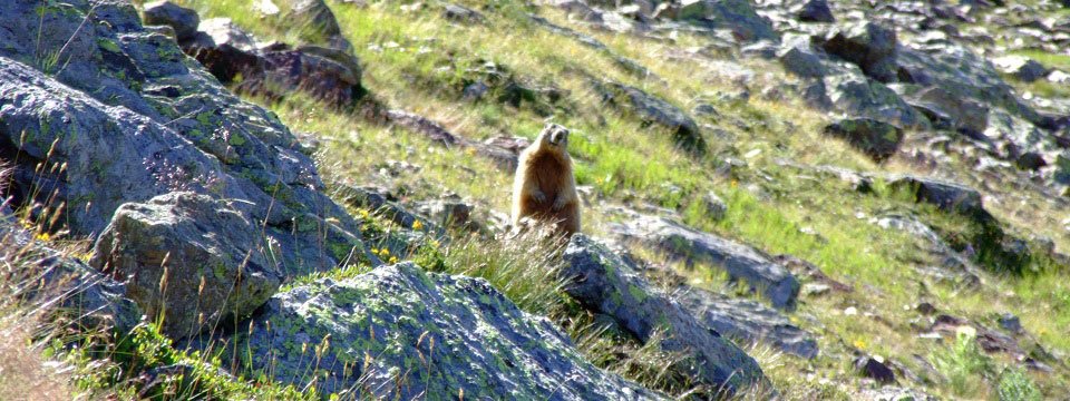 huttentocht stelvio nationaalpark dolomieten vakantie italiaanse alpen italie wandelen (29)