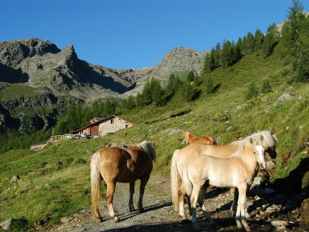 huttentocht val di sole dolomieten vakantie italiaanse alpen italie wandelen (12)