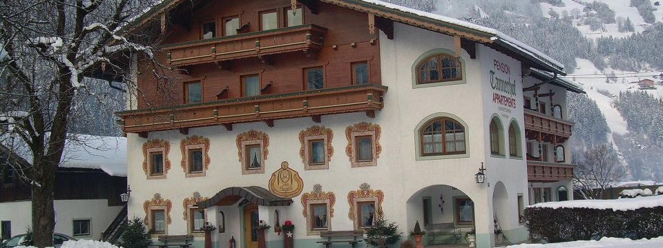 pension tannerhof zell am ziller tirol (2)