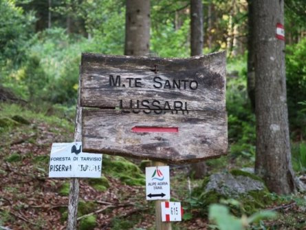 3 landen mini trail alpe adria trail r04 (1)