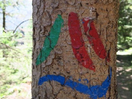 3 landen mini trail alpe adria trail r03 (5)