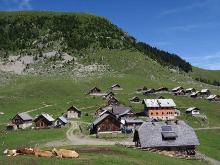3 landen mini trail alpe adria trail r03 (3)