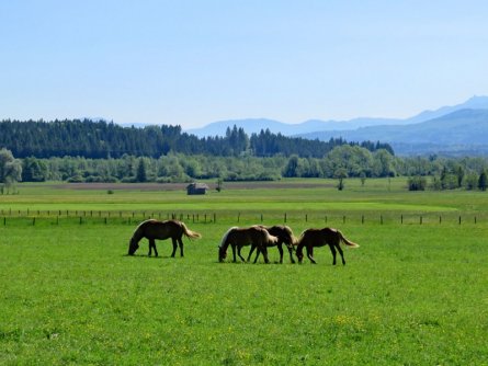 outdoor active beieren familievakantie outdoorvakantie vakantie duitsland beierse alpen (5)