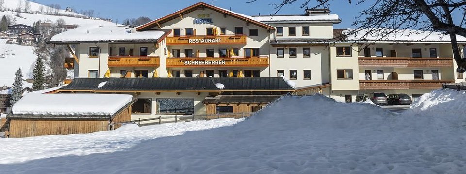 hotel schneeberger niederau tirol (1)