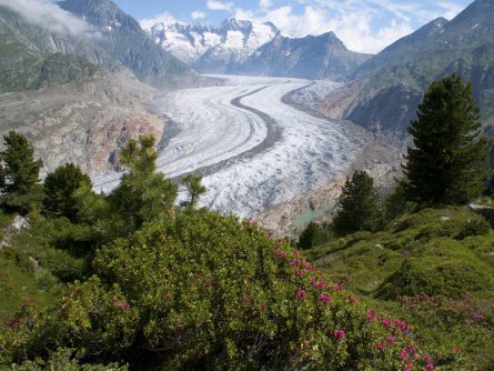 actieve vakantie gletsjertrekkings aletsch gletsjer trekking vakantie zwitserland (35)
