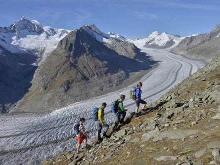 actieve vakantie gletsjertrekkings aletsch gletsjer trekking vakantie zwitserland (28)