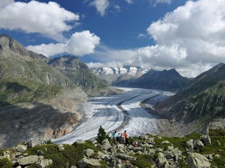 actieve vakantie gletsjertrekkings aletsch gletsjer trekking vakantie zwitserland (32)