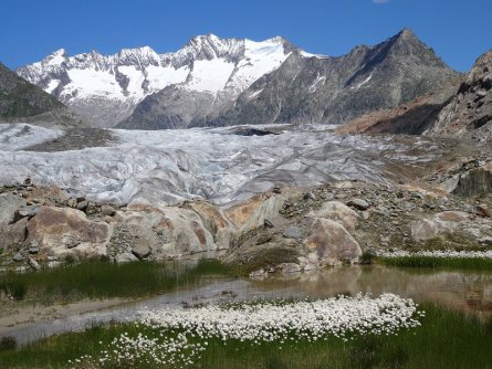 actieve vakantie gletsjertrekkings aletsch gletsjer trekking vakantie zwitserland (21)