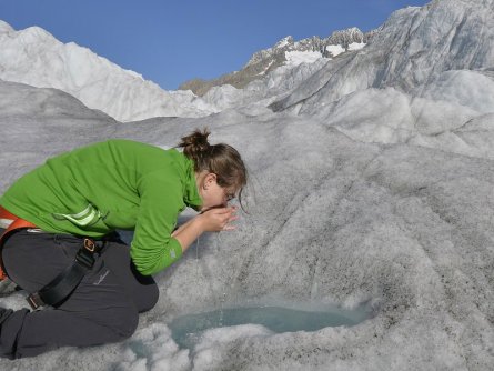 actieve vakantie gletsjertrekkings aletsch gletsjer trekking vakantie zwitserland (31)