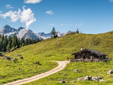 avontuurlijke familievakantie family active lofer pinzgau oostenrijk begeleide wandeling naar almhut kallbrunnalm (7)