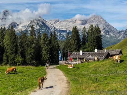 avontuurlijke familievakantie family active lofer pinzgau oostenrijk begeleide wandeling naar almhut kallbrunnalm (6)