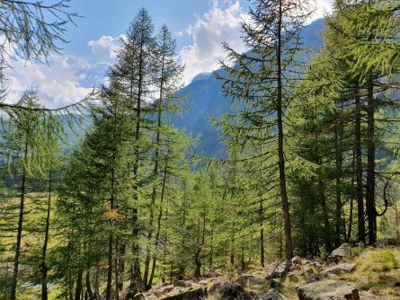 stelvio national park glacier trail actieve vakantie outdoor active val di sole avontuurlijke familievakantie italiaanse alpen italie val di sole huttentocht (1)