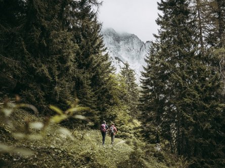 lynx trail meerdaagse wandeltocht oostenrijk oostenrijkse alpen etappe 5 in den gesaeusewaeldern