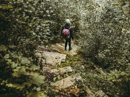 lynx trail meerdaagse wandeltocht oostenrijk oostenrijkse alpen etappe 5 durch den sebringgraben