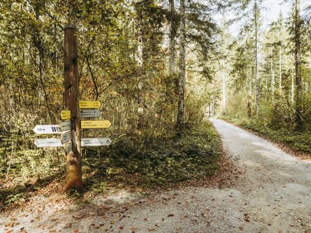 lynx trail meerdaagse wandeltocht oostenrijk oostenrijkse alpen etappe 6 viele moeglichkeiten im erlebniszentrum weidendom