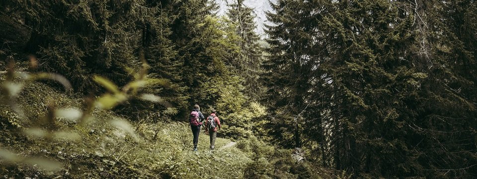 lynx trail meerdaagse wandeltocht oostenrijk oostenrijkse alpen etappe 5 in den gesaeusewaeldern (2)