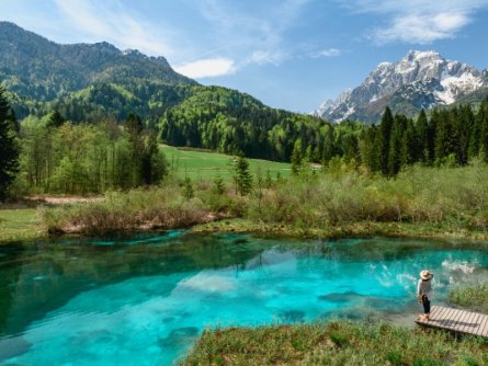 adobestock_214368601_zelenci meer_kranjska gora_julische alpen_slovenië