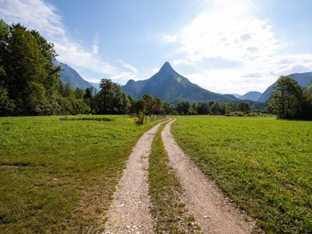 juliana trail etapa14 bovec log pod mangartom 10 (mitja sodja)