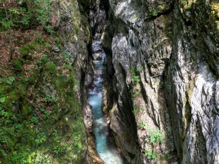 juliana trail etapa15 log pod mangartom cave del predil 22 (mitja sodja)