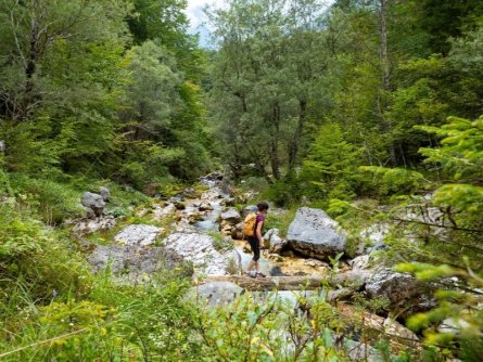 juliana trail etapa15 log pod mangartom cave del predil 19 (mitja sodja)