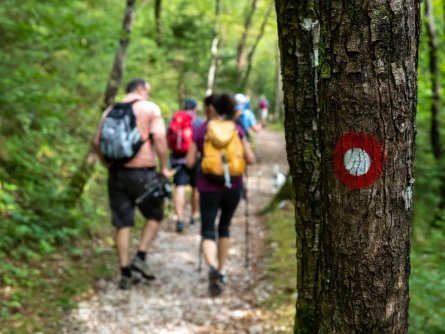 juliana trail etapa15 log pod mangartom cave del predil 18 (mitja sodja)