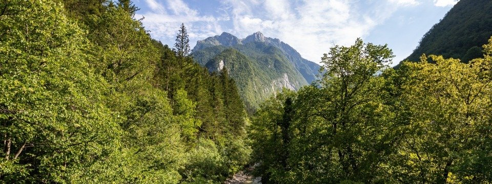 juliana trail etapa14 bovec log pod mangartom 13 (mitja sodja)