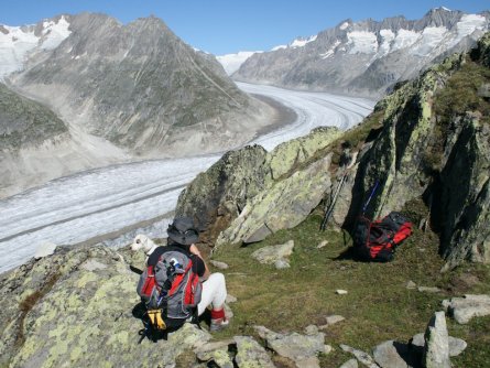 aletschgletscher fiesch wallis zwitserland adobestock