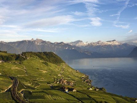 lavaux wijnbergterrassen meer van geneve waadt zwitserland my switzerland (1)