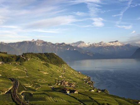 lavaux wijnbergterrassen meer van geneve waadt zwitserland my switzerland (1)