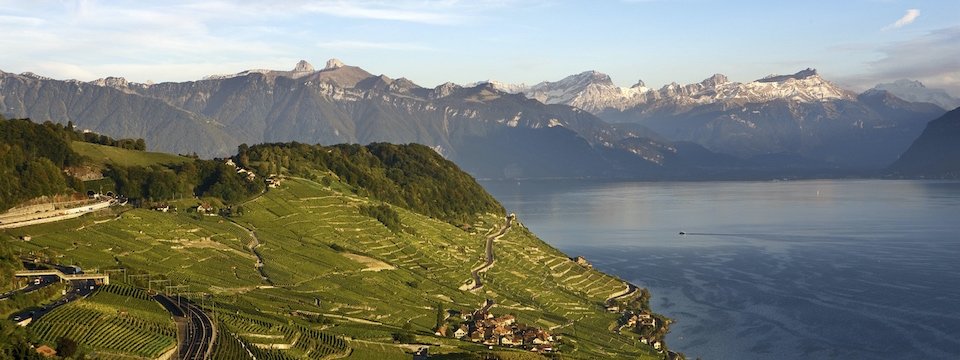 lavaux wijnbergterrassen meer van geneve waadt zwitserland my switzerland (2)