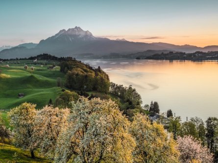 weggis luzern vierwoudstedenmeer zwitserland my switzerland (1)