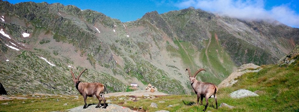 huttentocht stubaier höhenweg stubaier alpen stubaital oostenrijk stubai tirol tourismusverband stubai tirol nürnberger huette 3