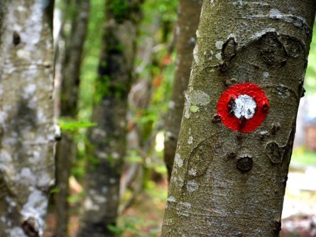 huttentocht julische alpen slovenie wandelen 5