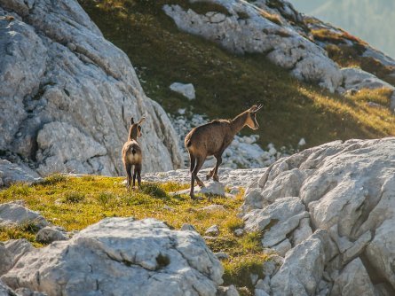 huttentocht julische alpen slovenie wandelen 16