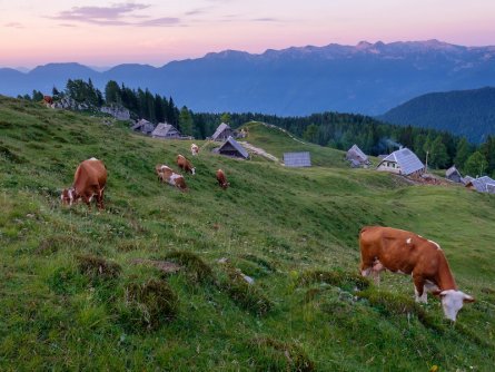 huttentocht julische alpen slovenie wandelen 14