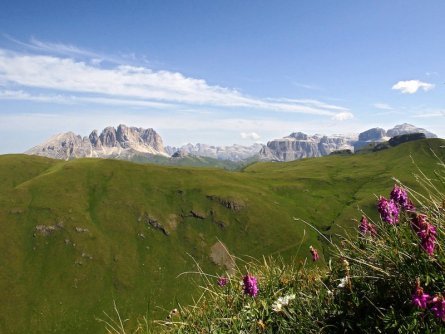 huttentocht dolomieten panorama val di fassa zuid tirol italie italiaanse alpen wandelvakantie apt val di fassa_ralf brunel_val jumela