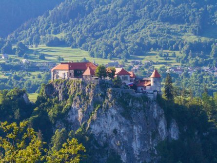 family active bled avontuurlijke gezinsvakantie slovenië bled view