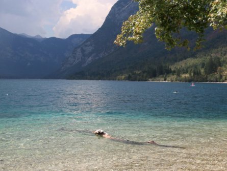 family active bled avontuurlijke gezinsvakantie slovenië zwemmen lake bohinj (tourismus bohinj) 1